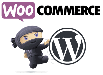 woocommerce ecommerce web design